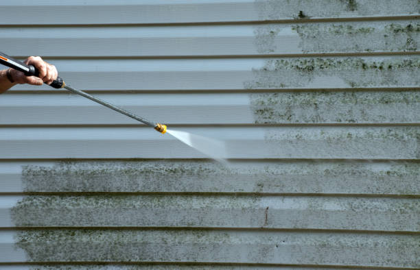 Best Building Exterior Pressure Washing in Viroqua, WI